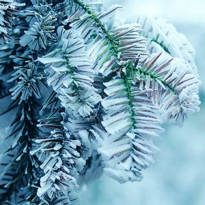 免费观看污视频网站
