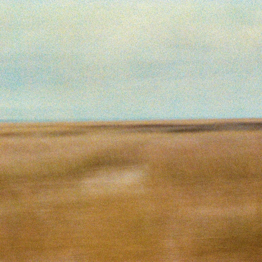 免费观看污视频网站
